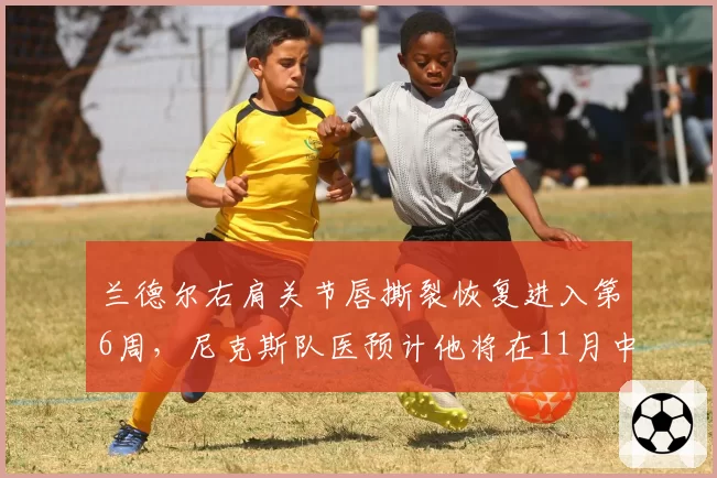 兰德尔右肩关节唇撕裂恢复进入第6周，尼克斯队医预计他将在11月中旬回归