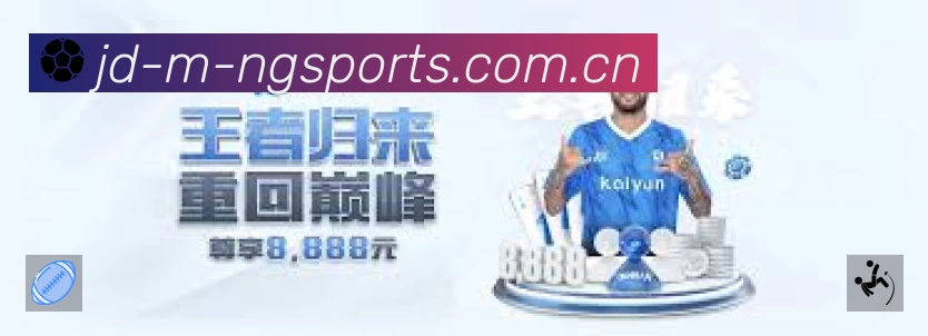 NG体育安全运营支持